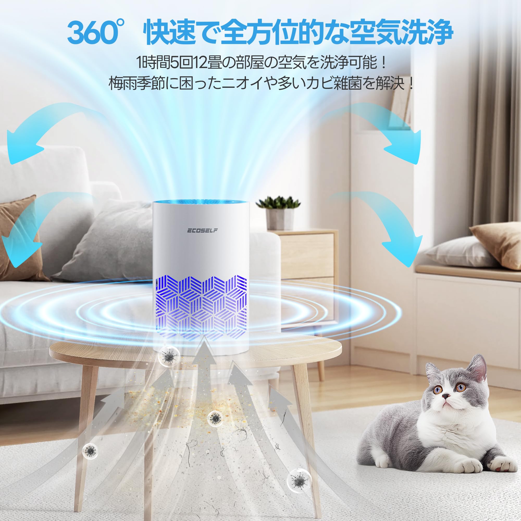 Amazon.co.jp: ECOSELF 空気清浄機 小型 【2025新モデル Hepa
